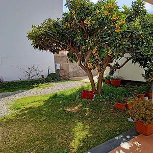  Bed & Breakfast A Nespulara